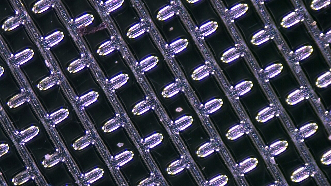 1695456766104004.jpg